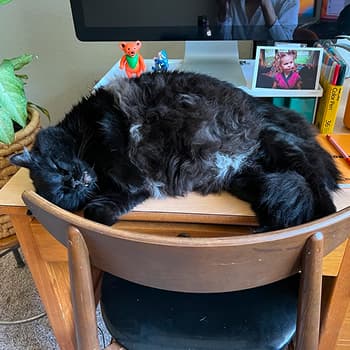 Henry on chair