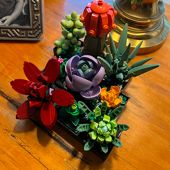 LEGO succulents