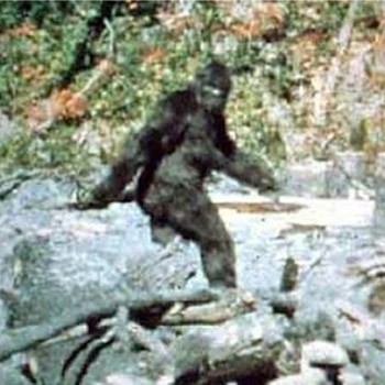 BigFoot photo